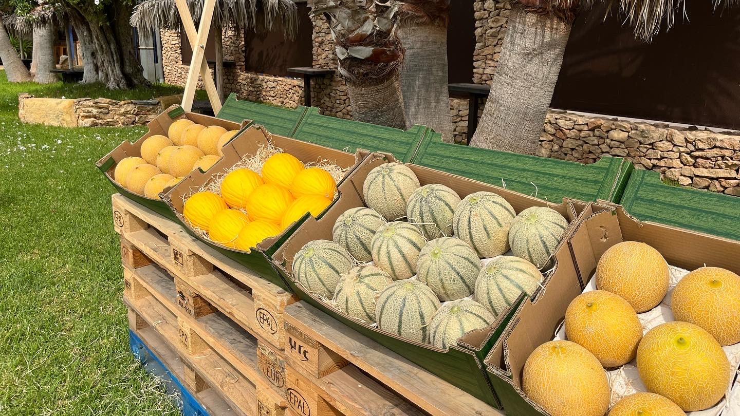 semillas fito melon show sandia|semillas fito melon show sandia|semillas fito melon show sandia